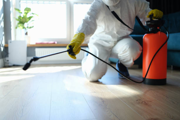 Reliable Odor Removal contractor in Marshall, MO by Trauma Clean Pros